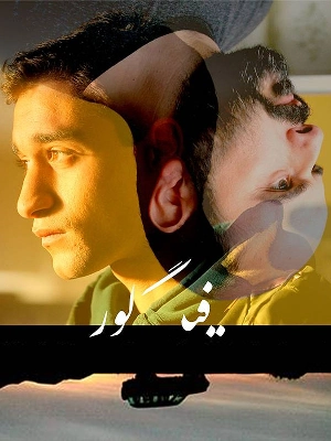 فیگور