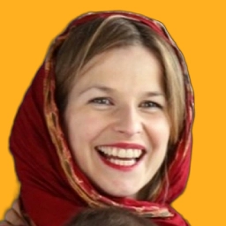 مارین ون هولک