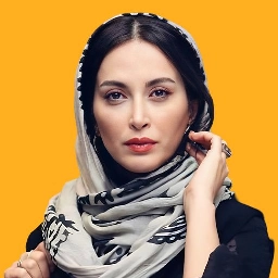 پاوان افسر