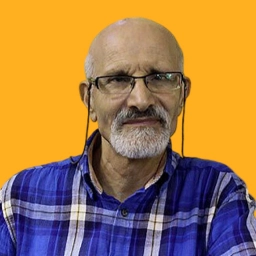 داوود فتحعلی بیگی
