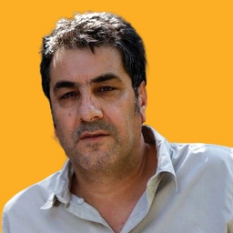 محسن چگینی
